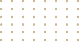 https://demo.wahidin.com/wp-content/uploads/2020/04/floater-gold-dots.png